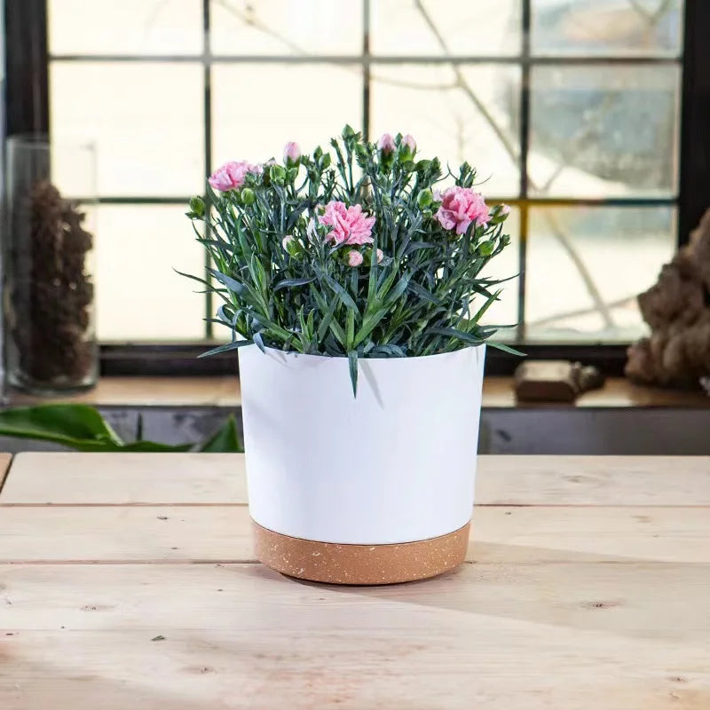 Modern Lightweight Plant Pots for Indoor & Outdoor Plants