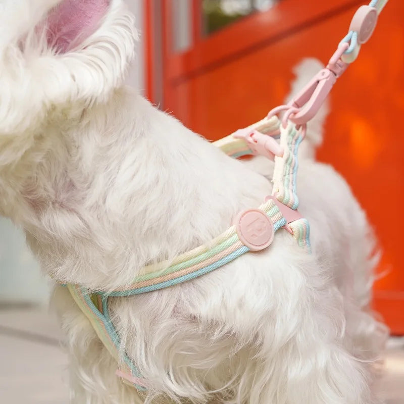 Adjustable Dog Collar & Leash Set for Small to Medium Dogs - Pink, Green & Purple